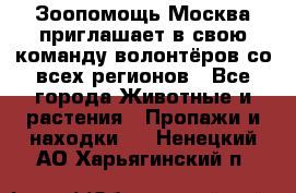 Зоопомощь.Москва приглашает в свою команду волонтёров со всех регионов - Все города Животные и растения » Пропажи и находки   . Ненецкий АО,Харьягинский п.